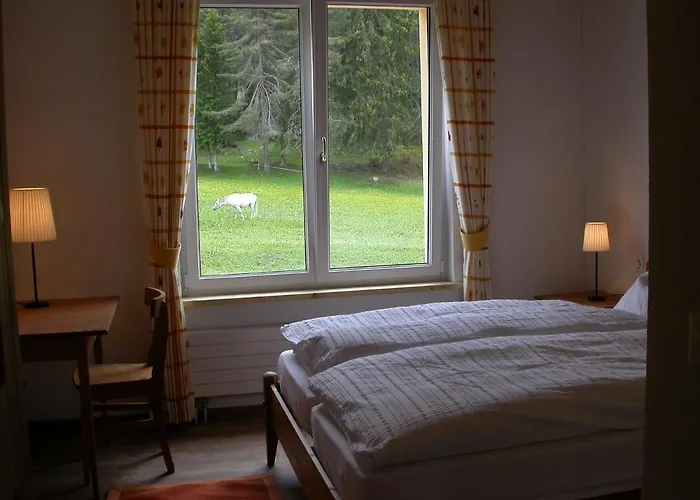 Hotel Reitstall Und Saloon San Jon