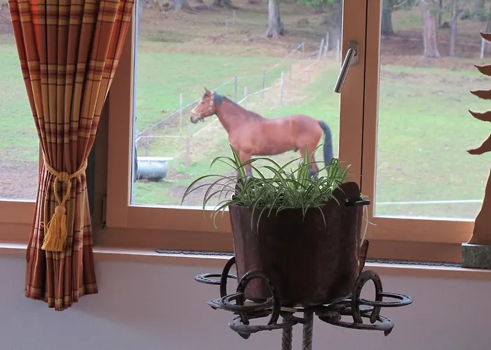 Reitstall Und Saloon San Jon Hotel Scuol