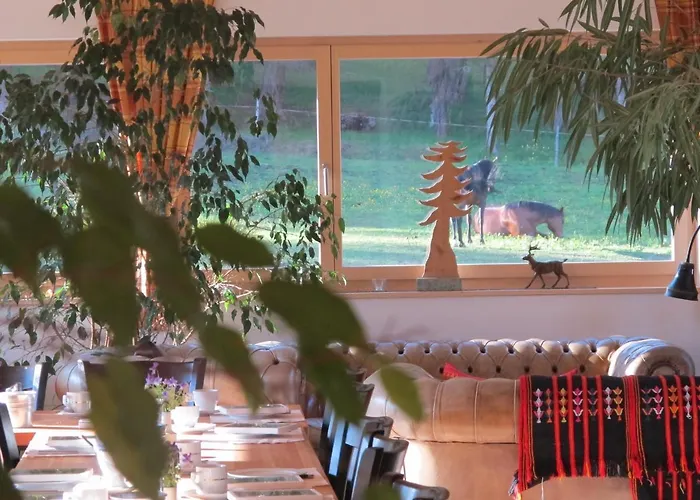 Reitstall Und Saloon San Jon