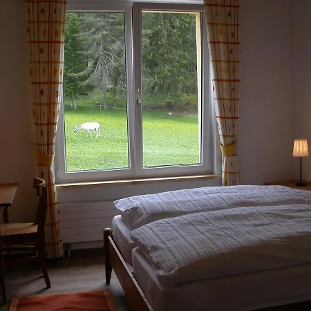 Hotel Reitstall Und Saloon San Jon