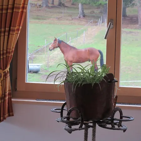 Reitstall Und Saloon San Jon Hotel Scuol